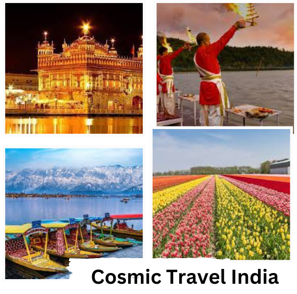 Cosmic Travel India